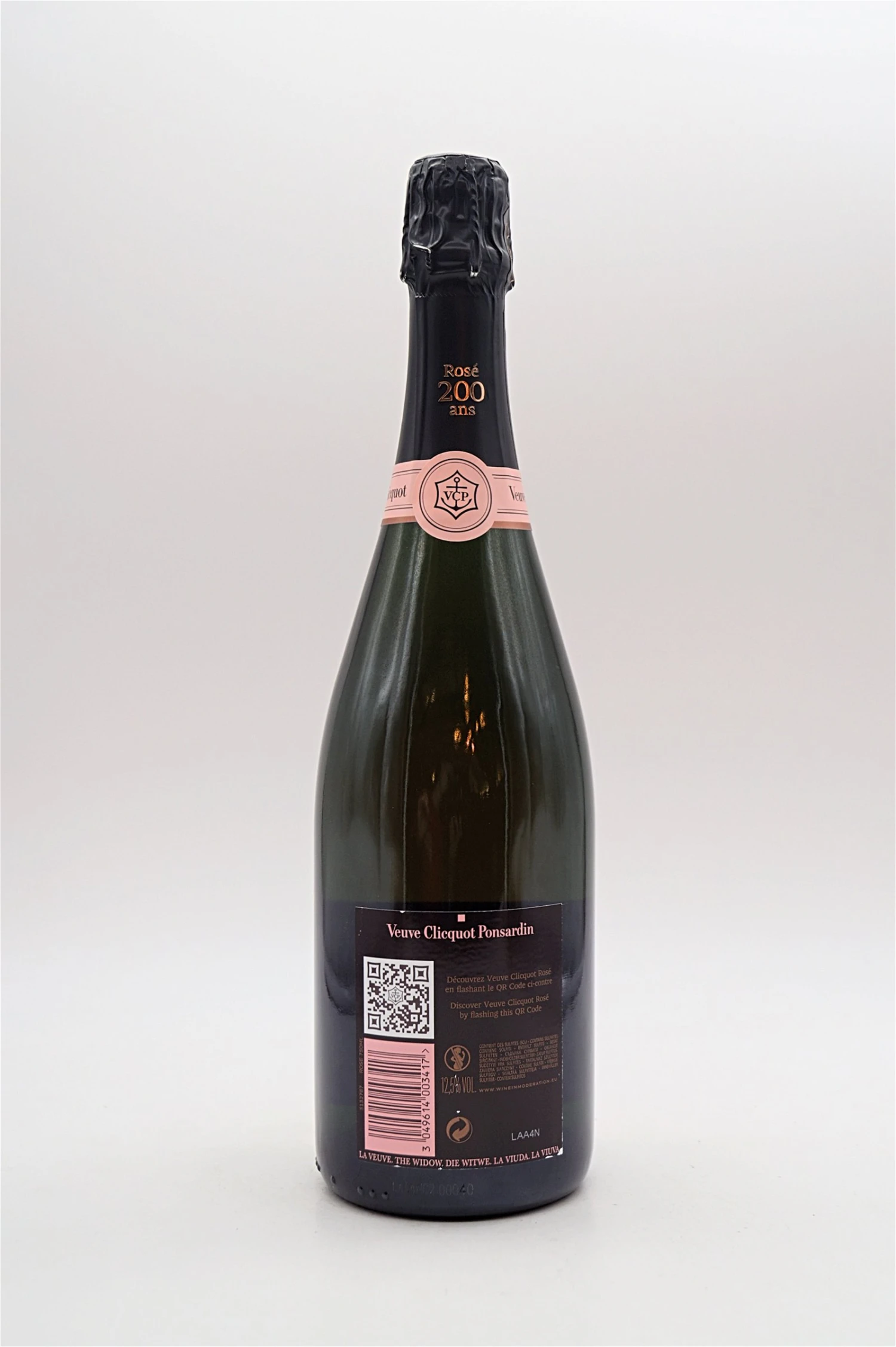 Rose Champagner 2 Rose Champagner – Bild 2