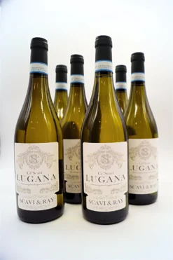 Lugana D.O.C 6 Flaschen Sparset