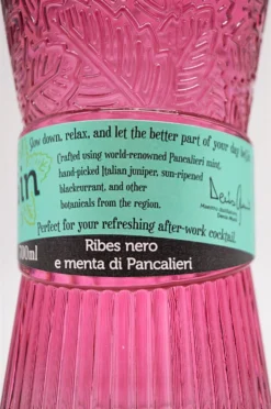 Ribesa Blackcurrant Gin -Angebote Baileys Store dsc09003aqbyqlacqtkci