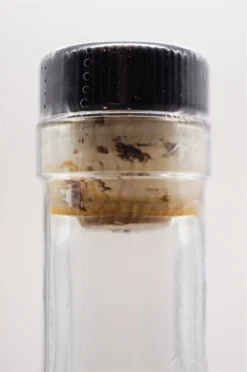 Brimstone -Angebote Baileys Store dsc09350