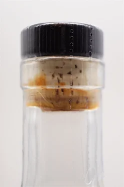 Texas Single Malt Classic Edition 9 Texas Single Malt Classic Edition -Angebote Baileys Store dsc09355